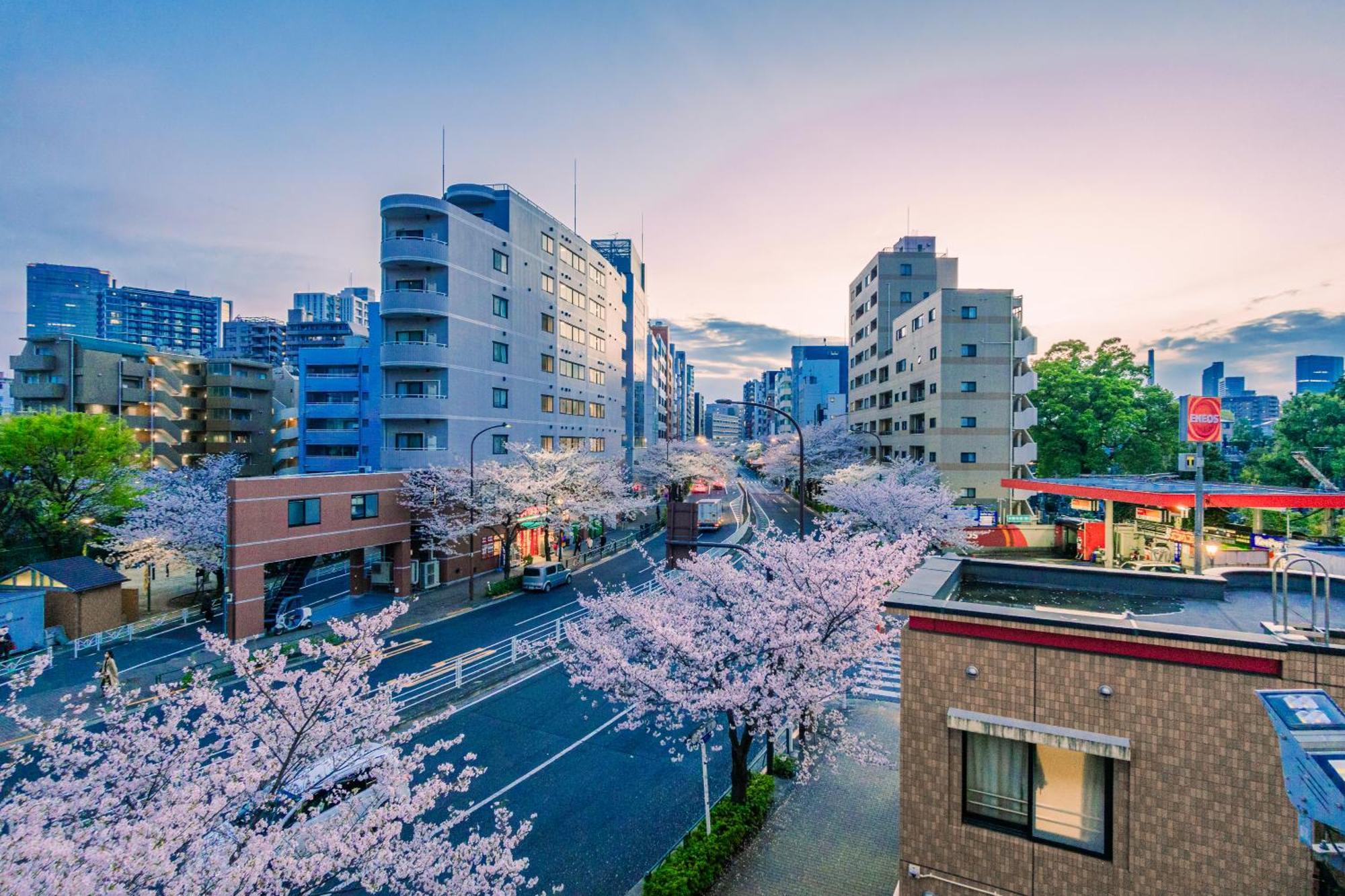 Appartement Sakura 301