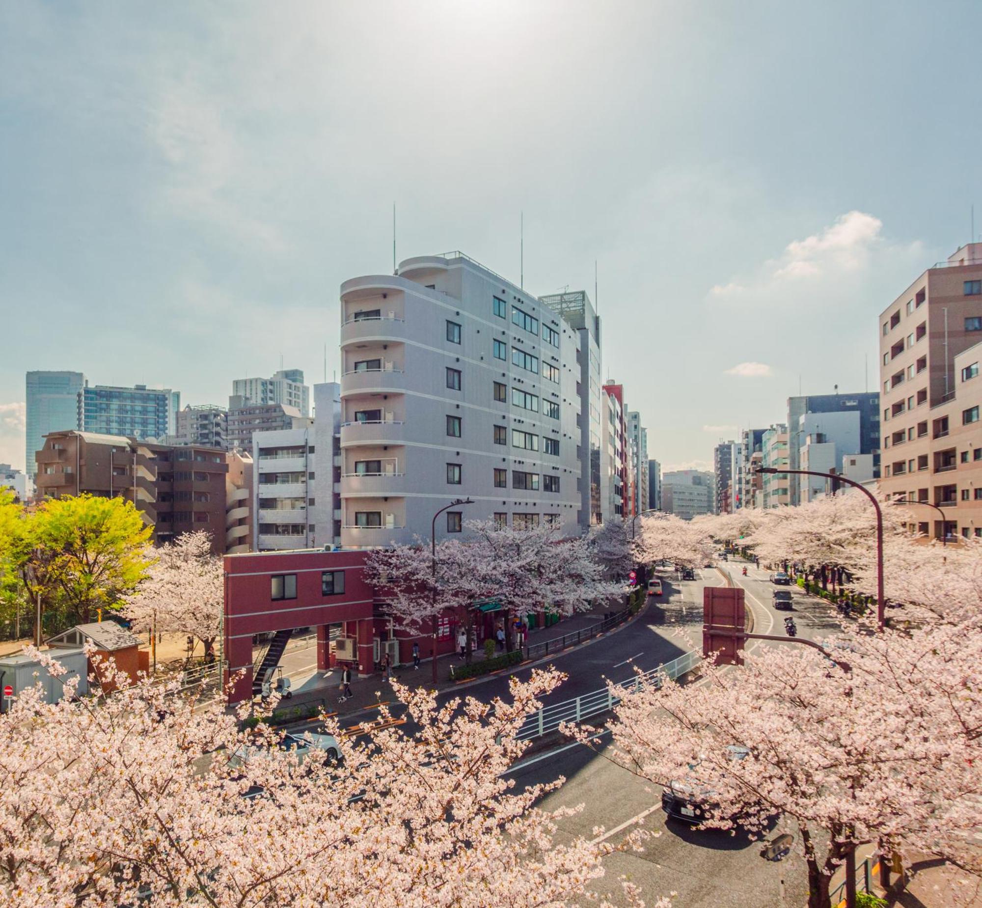 Appartement Sakura 301 Tokio